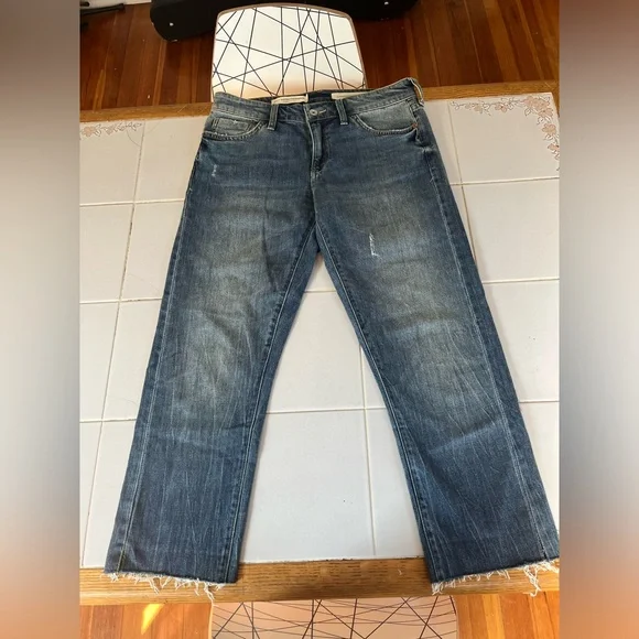 Pilcro and the Letterpress by Anthropologie Slim Boyfriend Jeans in Size 27 - Picture 2 of 8